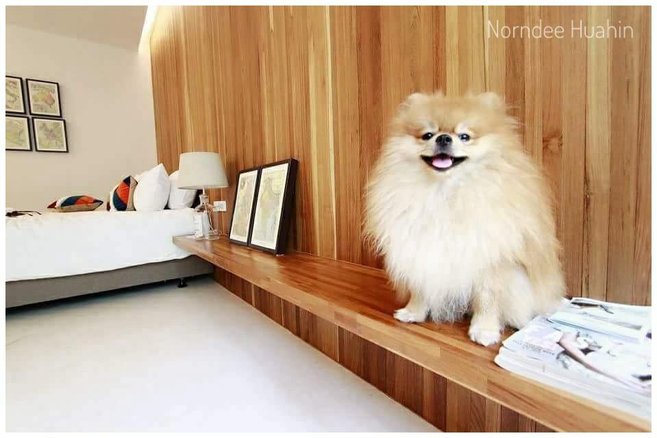 Norndee Hotel Hua Hin Bagian luar foto